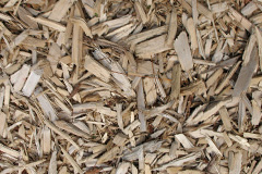 biomass boilers Ardskenish